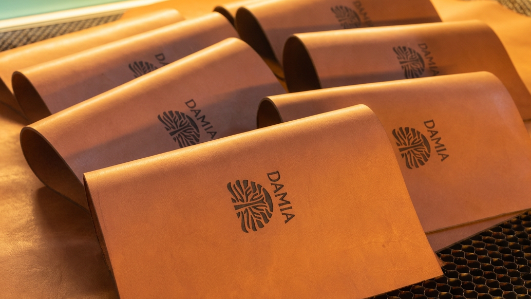 Several tan leather card sleeves or wallet-like accessories with the brand name DAMIA printed in black, arranged on a warm-toned surface with a dark mesh mat visible in the background.